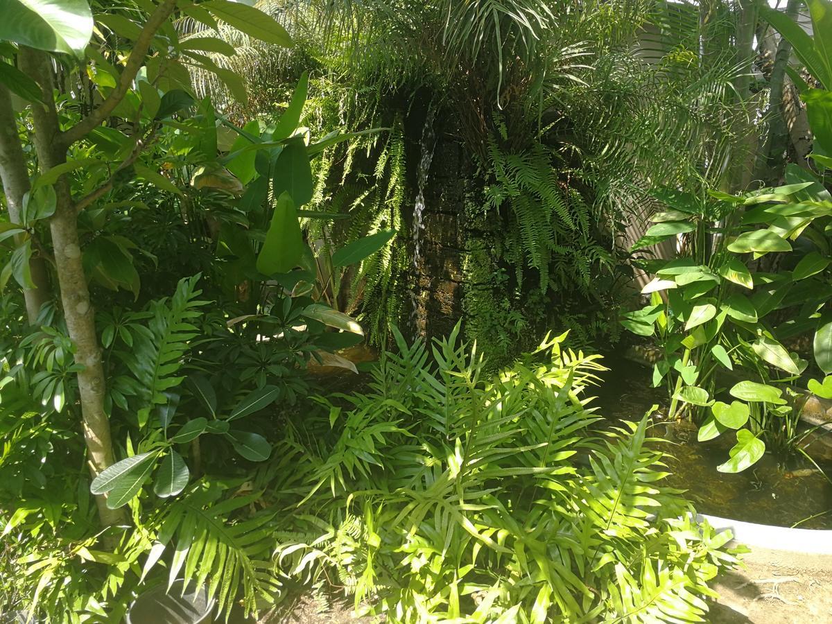 Reuan Phaolai بوفوت المظهر الخارجي الصورة