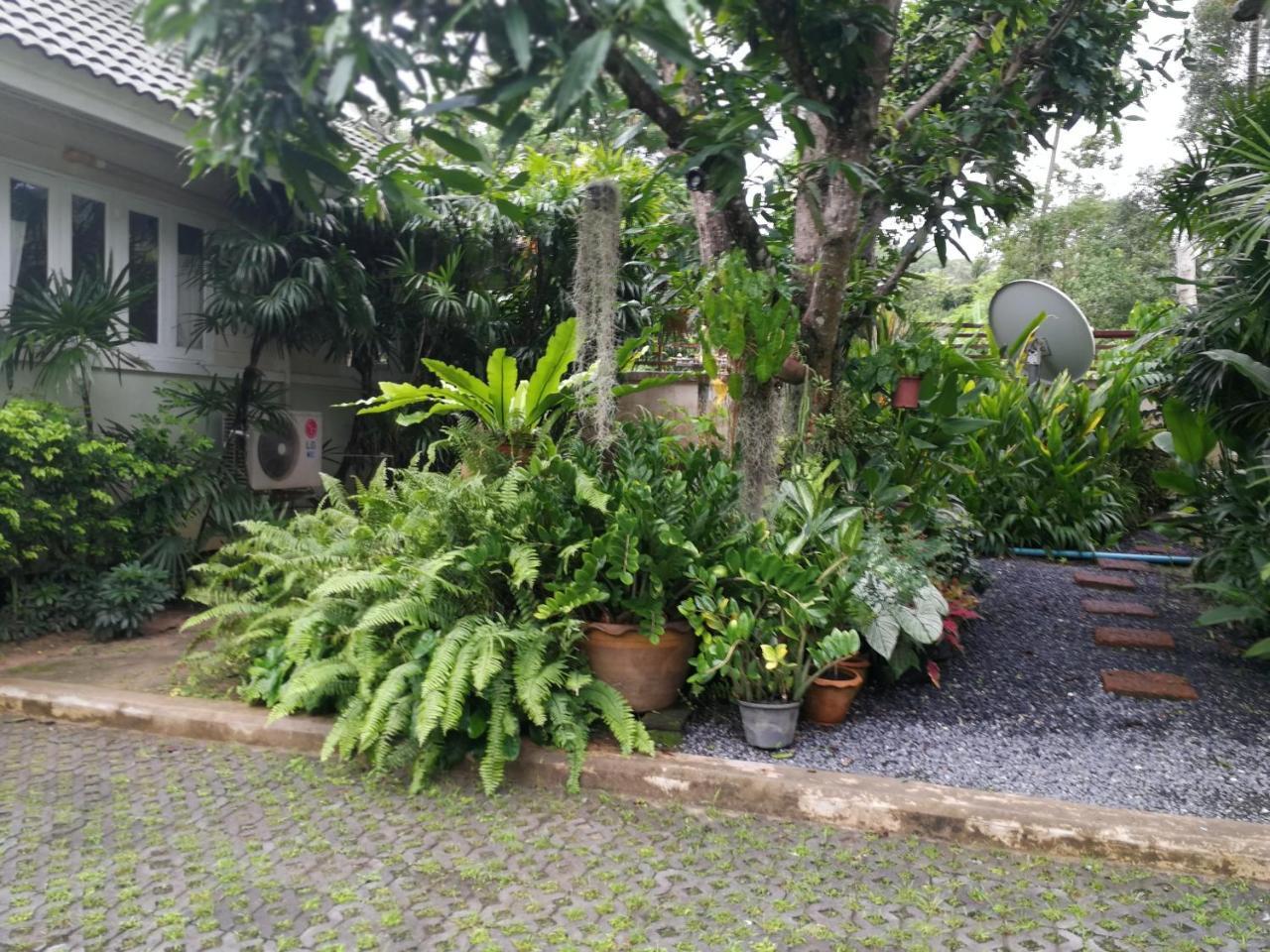 Reuan Phaolai بوفوت المظهر الخارجي الصورة